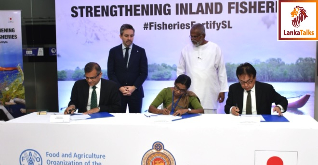 Japan Provides USD 3 Mn Through FAO to Strengthen Inland Fisheries in Sri Lanka