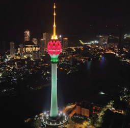 Join the ‘Walk and Run’ for World Alzheimer’s Month to prevent dementia