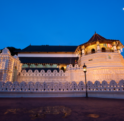 SLT-MOBITEL Partners with Sri Dalada Perahara for the 10th Consecutive Year, Showcasing Cultural Connection