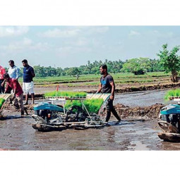 ComBank launches Agri Modernisation Village programme in Kilinochchi