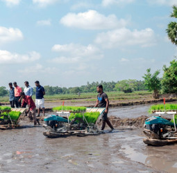 ComBank to take advanced agriculture to Sri Lankan farmers, village by village