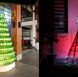 The Thinnai Hotel in Jaffna Prepares for a Sustainable and Joyous Christmas Season