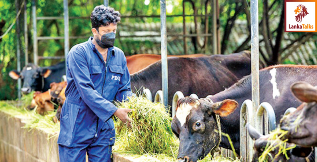 All Island Dairy Association voices concerns over escalating input costs