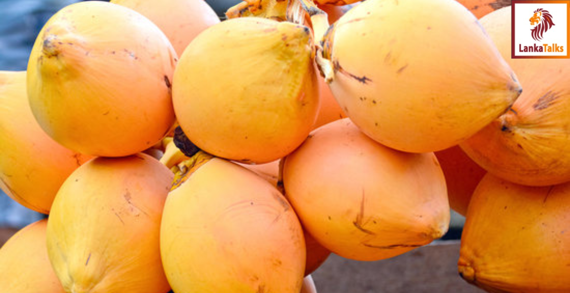 King coconut exporters agree to price of Rs. 2,000 per fruit
