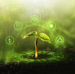 ComBank’s Green Bond framework receives milestone SPO from Sustainable Fitch