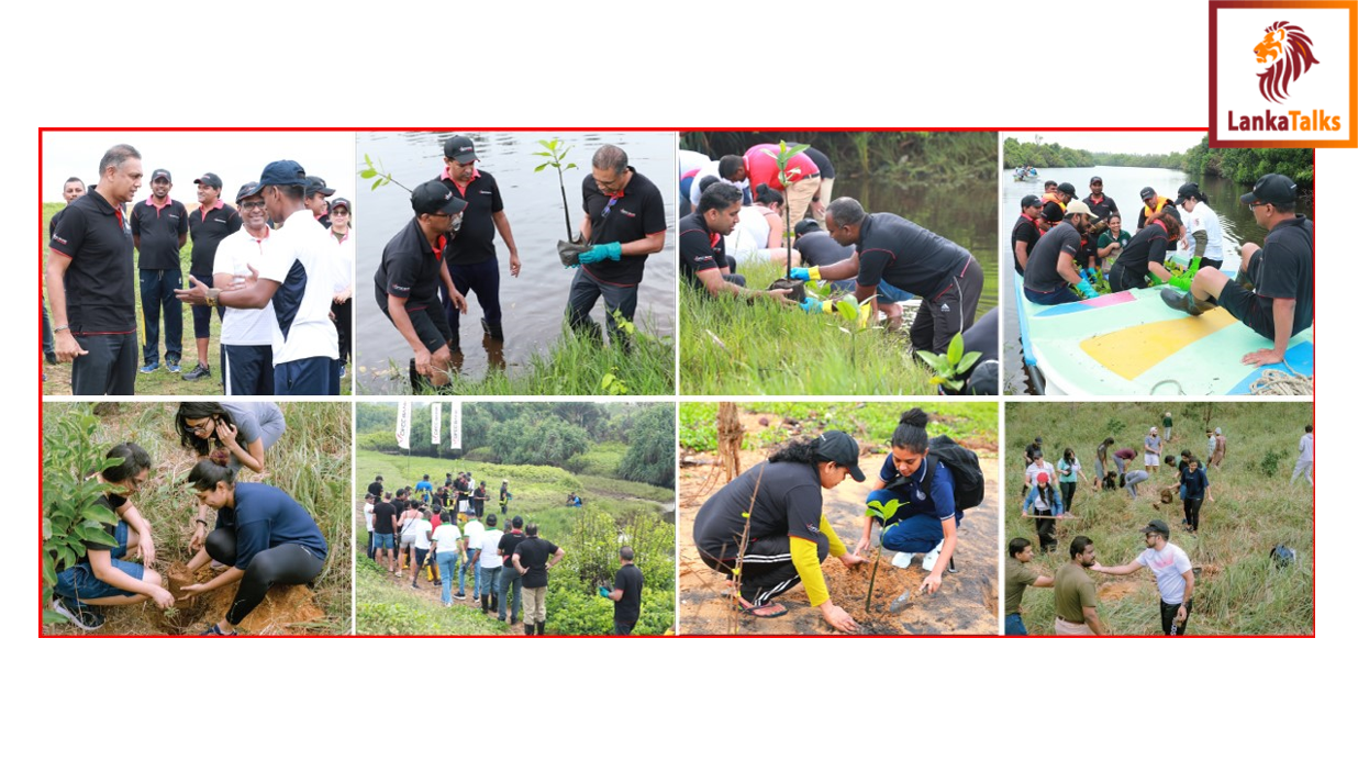 DFCC Bank Marks Environment and Oceans Day with Dual Projects for Ecosystem Conservation