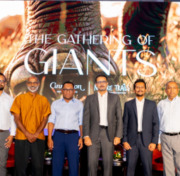 Seylan Cards, in collaboration with Cinnamon Hotels & Resorts, hosts “The Gathering of the Giants”