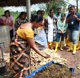 Fonterra Brands Lanka Marks World Environment Day with Focus on Land Restoration
