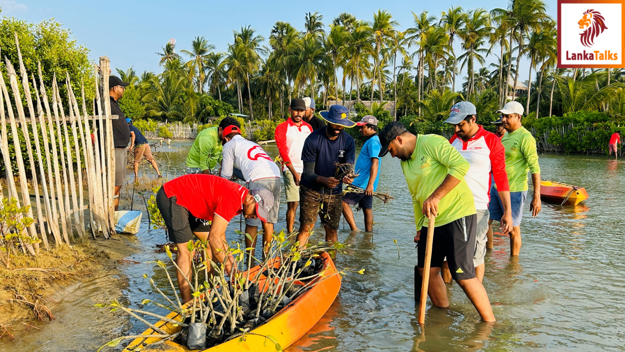 INSEE Cement’s mangrove restoration programme contributes to Sri Lanka’s coastal and biodiversity protection.