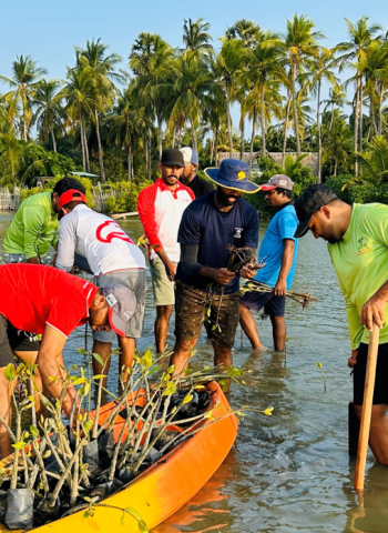 INSEE Cement’s mangrove restoration programme contributes to Sri Lanka’s coastal and biodiversity protection.