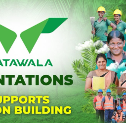 Watawala Plantations Powers Community Progress with Key Infrastructure Investment