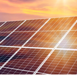 E.B Creasy & Co. PLC’s Own 2.5 MW Rooftop Solar Sparks Industry Change