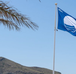 Sri Lanka identifies 12 main beaches to implement “Blue Flag Beach” concept