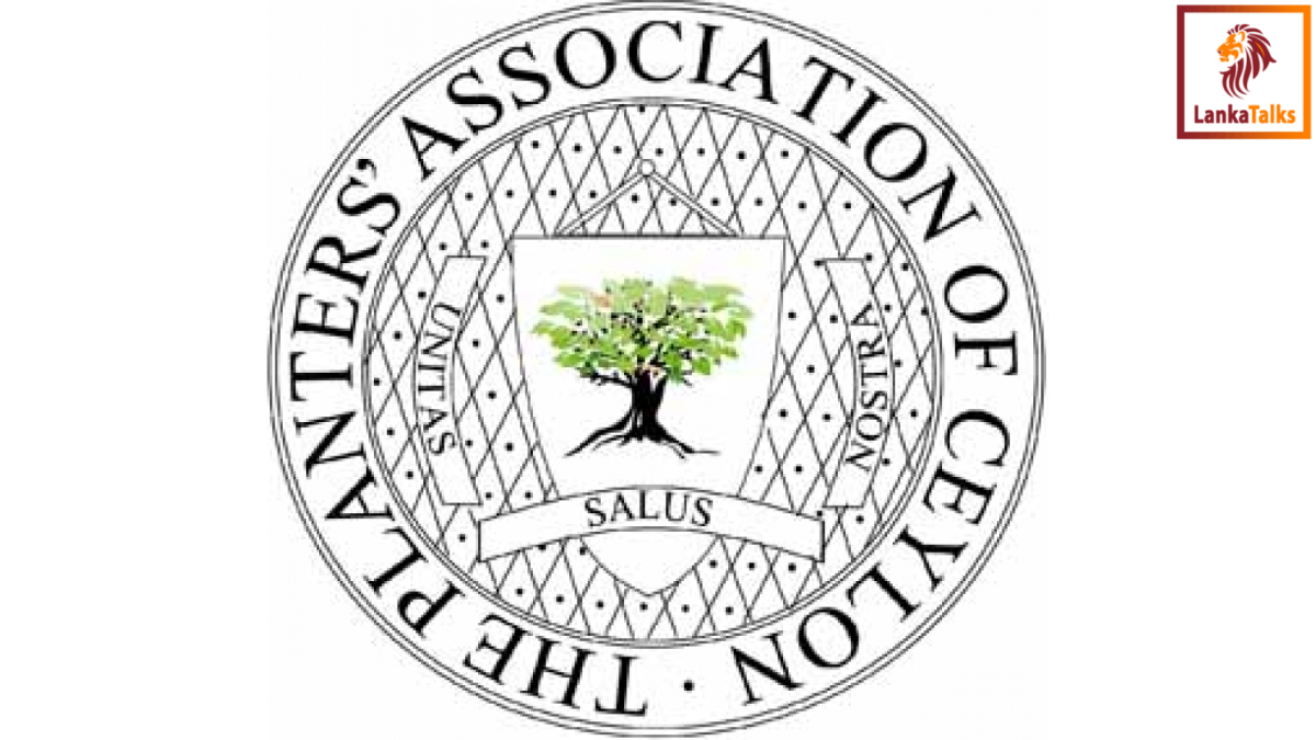 Planters’ Association of Ceylon statement on reported wage increase in the tea and rubber sector