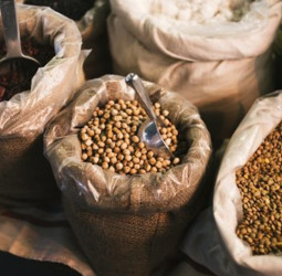 Measuring the Pulse of Pulses: Improving Food Security in Sri Lanka