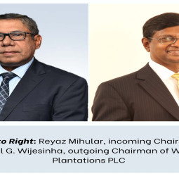 Watawala Plantations PLC appoints Reyaz Mihular as Chairman and bids   farewell to Sunil G. Wijesinha