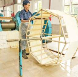 HPL first in SL to comply with EU Deforestation Regulations