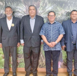 Measures to promote sustainable palm oil practices among countries