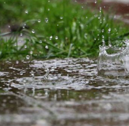 Heavy showers expected in parts of the island