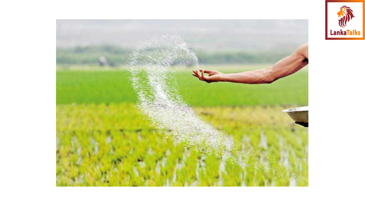 Distribution of fertilizer subsidy for ‘Maha Season’ begins