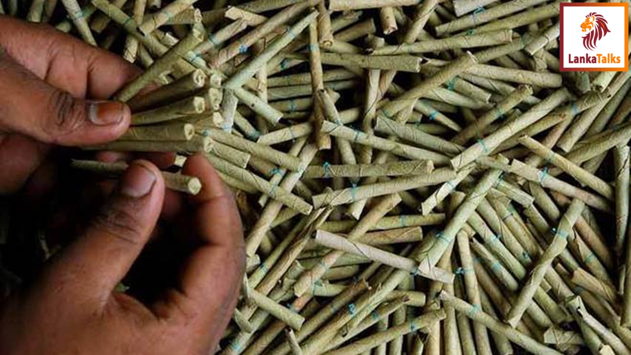 The Onslaught of the Beedi Industry and its Impact on Sri Lanka’s Economy