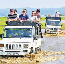 New Zealand team at Minneriya National Park