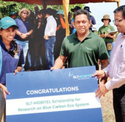 SLT-MOBITEL reaffirms commitment to environment with mangrove restoration project at Puttalam