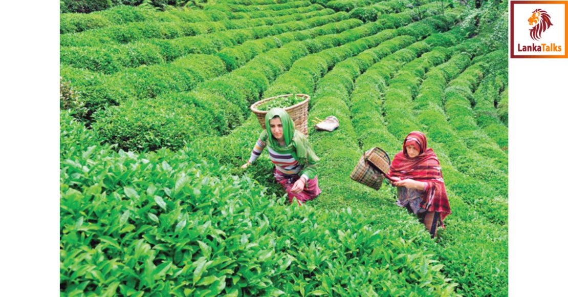 Merchandise exports up by 4.18% to USD 1.16 Bn in Aug.