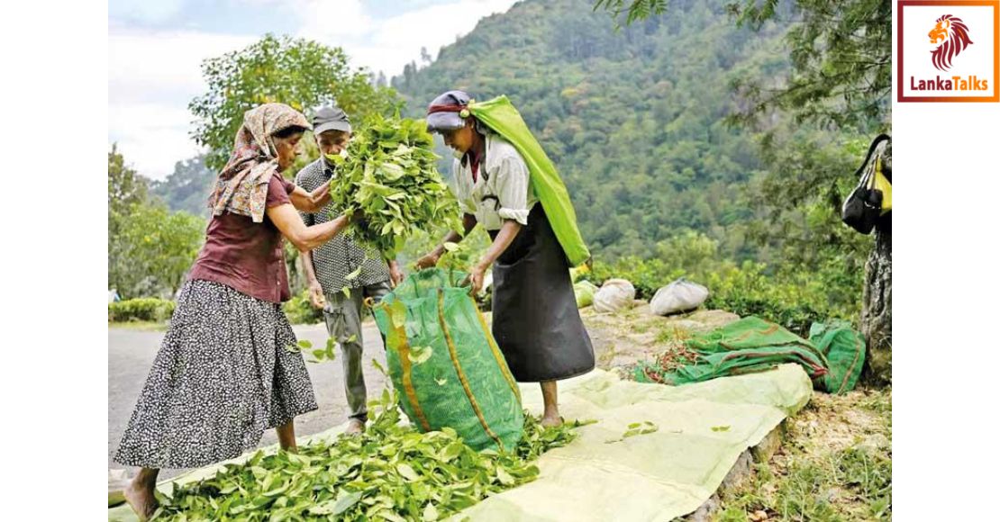 PA calls for collaborative efforts to transform plantation sector