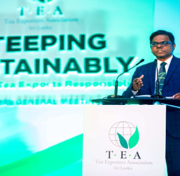 TEA’s 25th Annual General Meeting Celebrates Commitment to Sri Lanka’s Tea Industry
