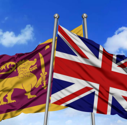 Leveraging the UK's DCTS for sustainable growth amidst economic challenges