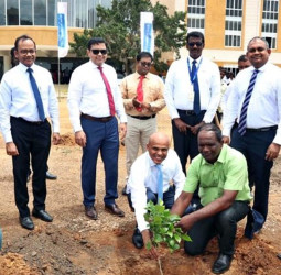 ComBank commences planting 10,000 trees in Kilinochchi and Jaffna districts