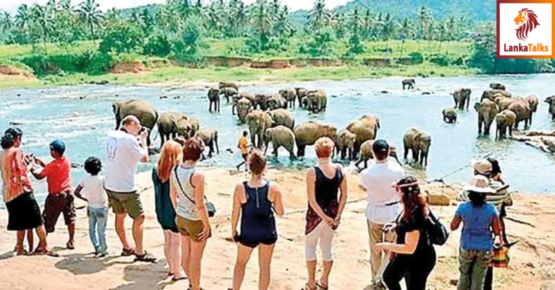 Tourist arrivals below expectation: SLTDA