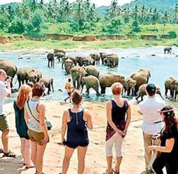 Tourist arrivals below expectation: SLTDA