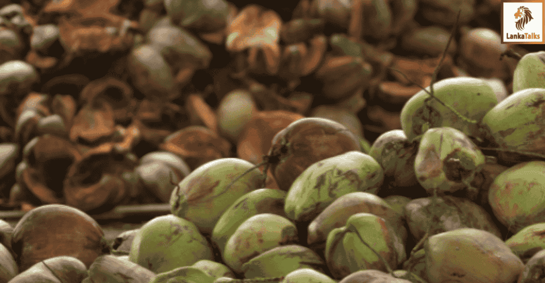 Ceylon Chamber of Coconut Industries applauds Government for securing 20% tariff rate on US exports