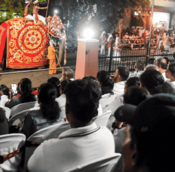 Ceylinco Life treats premium clients to exclusive Kandy Perahera experience