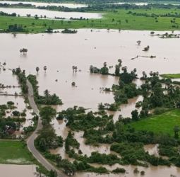 Govt to expedite crop damage claims for farmers