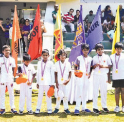 British School’s Hobbit House takes cricket crown