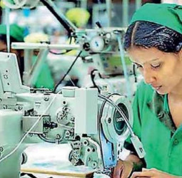 January apparel exports up 22% YoY