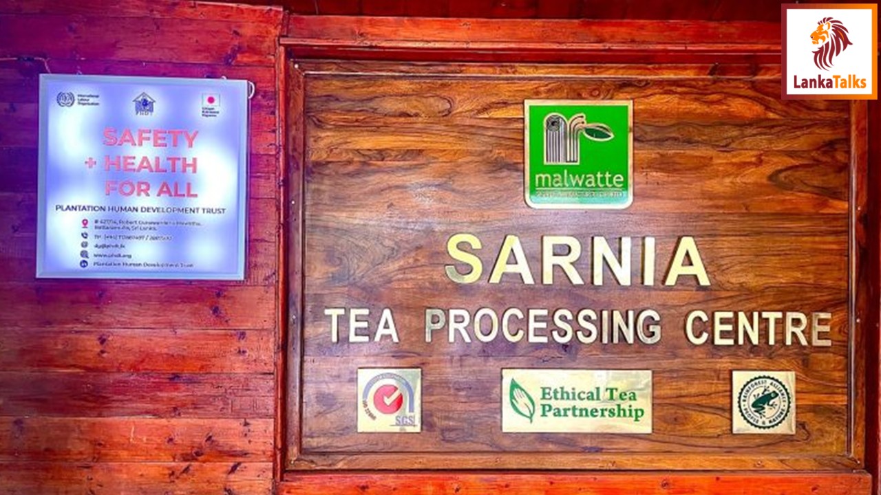 Sarnia Estate – A Timeless Legacy of Beauty and Heritage