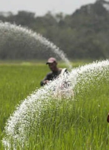 95% of fertilizer subsidy funds disbursed