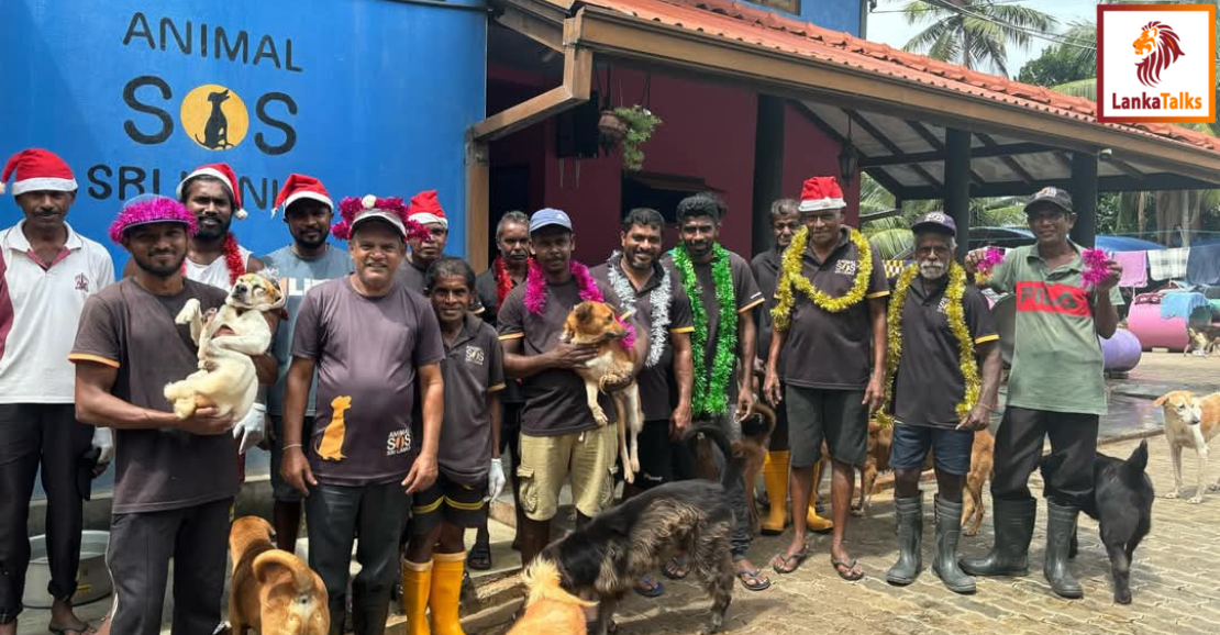 Animal SOS Sri Lanka: A Sanctuary Built on Compassion and Second Chances