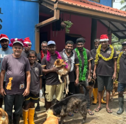 Animal SOS Sri Lanka: A Sanctuary Built on Compassion and Second Chances