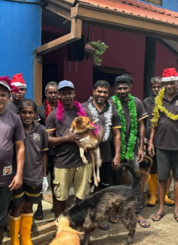 Animal SOS Sri Lanka: A Sanctuary Built on Compassion and Second Chances