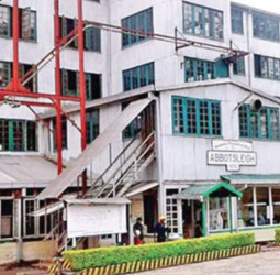 Abbotsleigh Estate produces highest tea quantity last week