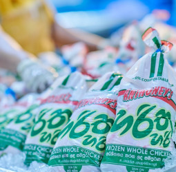 Certified to Lead: How New Anthoney’s Became Sri Lanka’s Gold Standard in Poultry