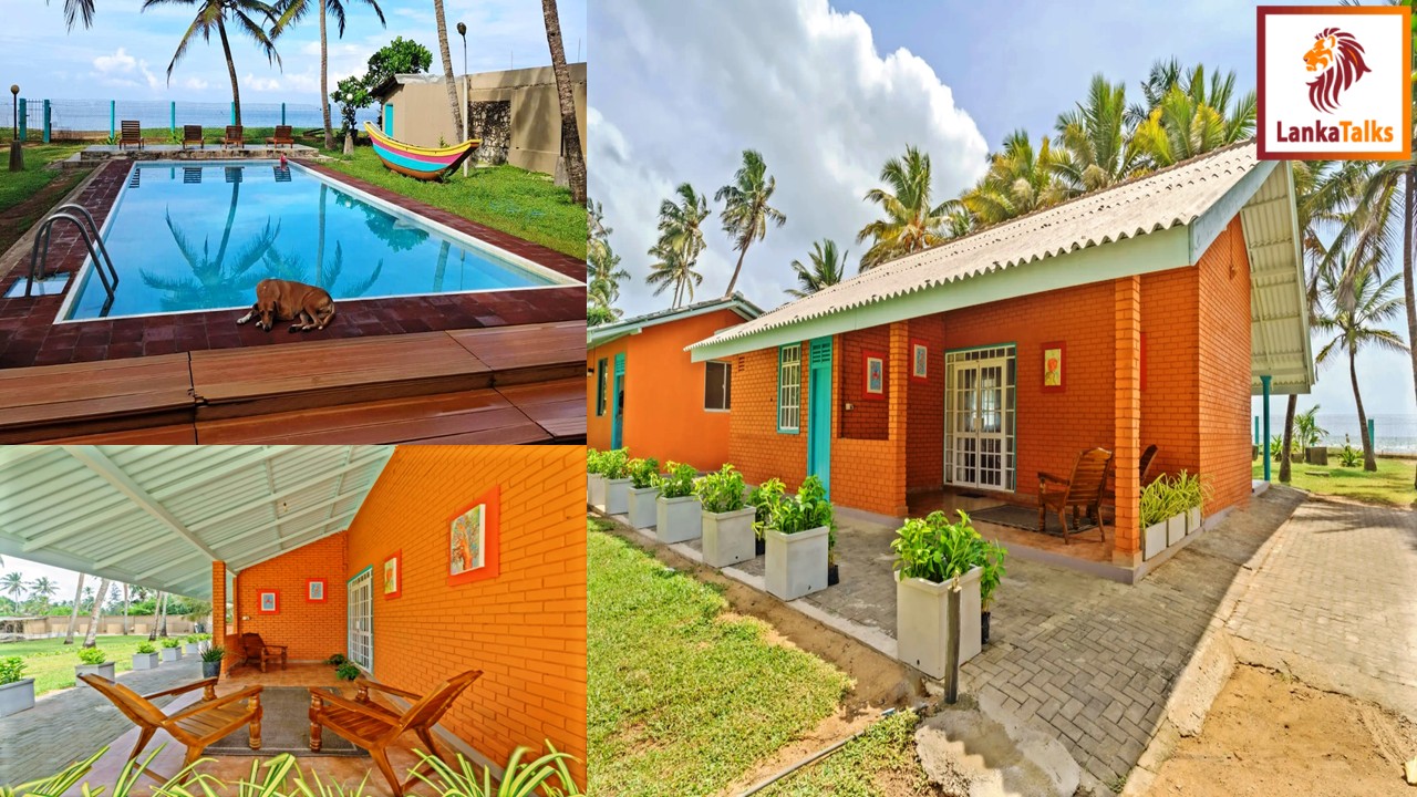 Amy’s Heaven Hotel Wadduwa, Profits to Maintain Pets Care Home