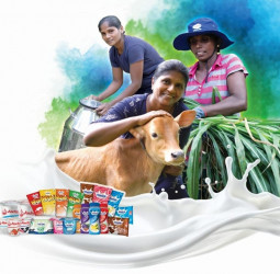 Fonterra Accelerates Action to Support Women in Dairy