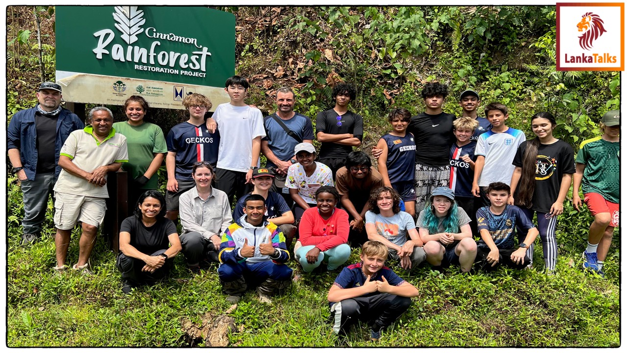 Young Geckos Dig Deep to Help Restore Forest Near Sinharaja