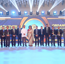 Pussalla crowned in Gold at CNCI Awards